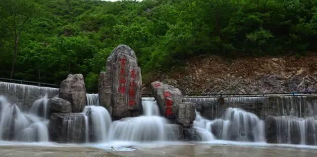 除虫大师